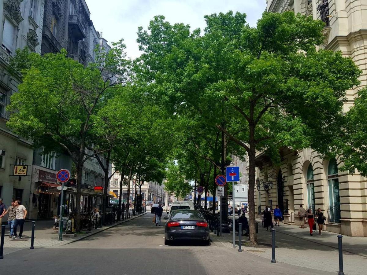Like Studio City Centrum, Wifi, Terrace Budapest Esterno foto