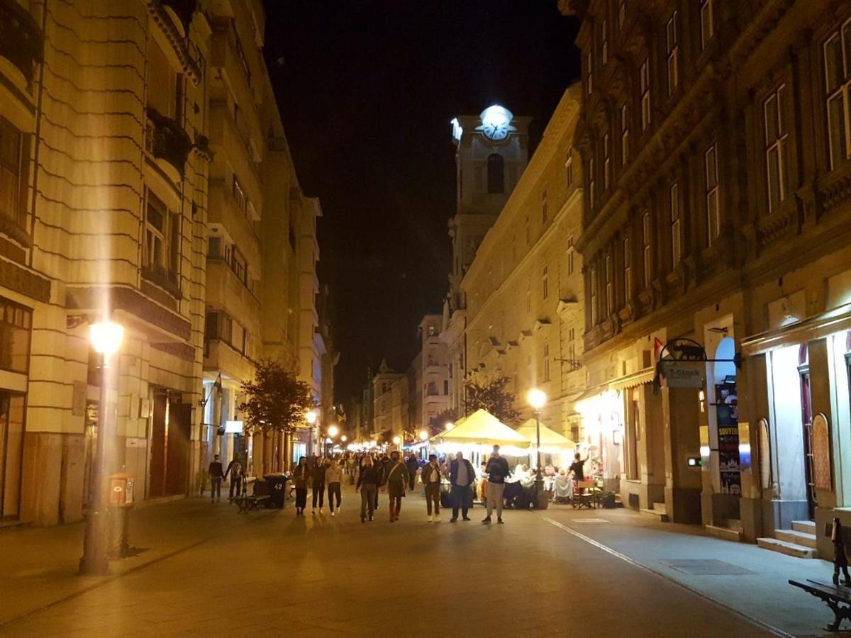 Like Studio City Centrum, Wifi, Terrace Budapest Esterno foto